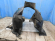 notify_thumb