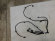 notify_thumb